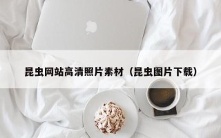 河源昆虫网站高清照片素材（昆虫图片下载）